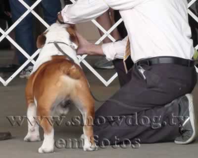 Clique sobre a foto para fechar